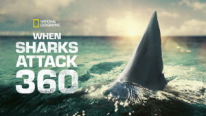 When Sharks Attack 360