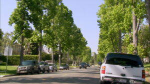 The Dog Who Saved Christmas