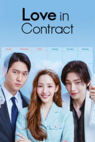 Love in Contract