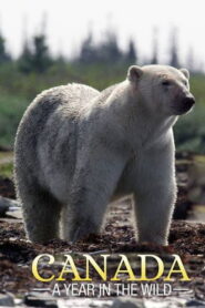Canada: A Year in the Wild