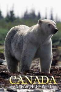 Canada: A Year in the Wild