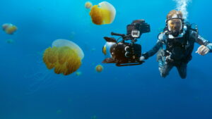 Animals Up Close with Bertie Gregory