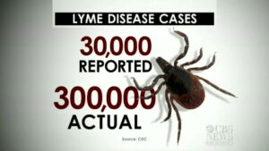 Under Our Skin 2: Emergence