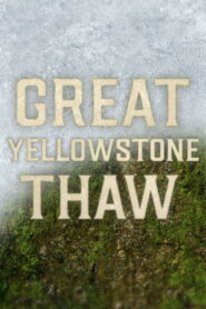 Great Yellowstone Thaw