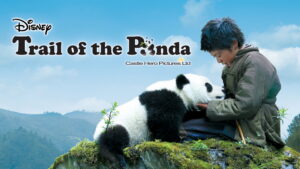 Trail of the Panda