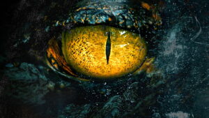 Myths: The Greatest Mysteries of Humanity