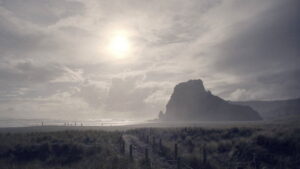 Black Coast Vanishings