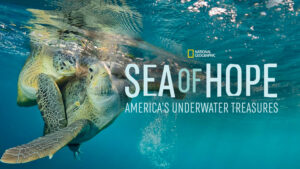 Sea of Hope: America’s Underwater Treasures