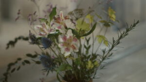 Portrait of a Lady on Fire