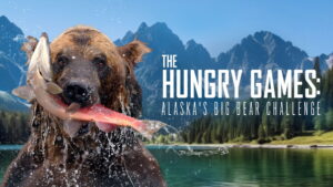 The Hungry Games: Alaska’s Big Bear Challenge