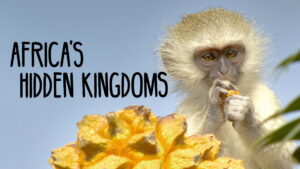 Africa’s Hidden Kingdoms