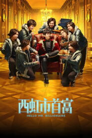 Hello Mr. Billionaire