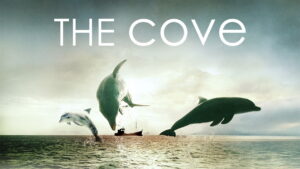 The Cove