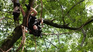 Kiki’s Delivery Service