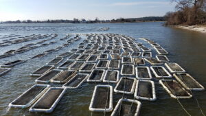 Maryland Farm & Harvest