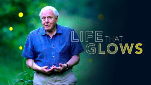 Attenborough’s Life That Glows