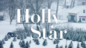Holly Star