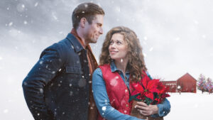 Poinsettias for Christmas