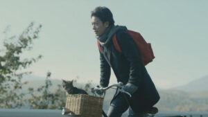 If Cats Disappeared from the World