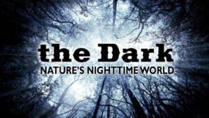 The Dark: Nature’s Nighttime World