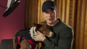 Superpower Dogs