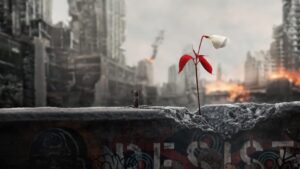 The Handmaid’s Tale