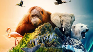 Islands: Nature’s Wild Laboratories