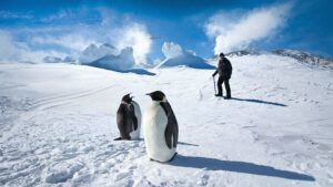 Antarctica: A Year on Ice
