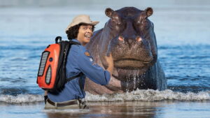 Andy’s Wild Adventures