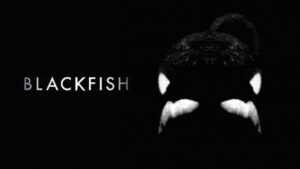 Blackfish