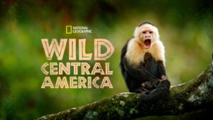 Wild Central America