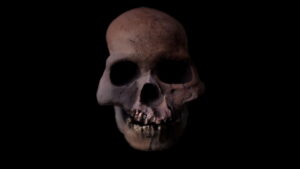 Enigma Man: A Stone Age Mystery