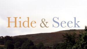 Hide and Seek