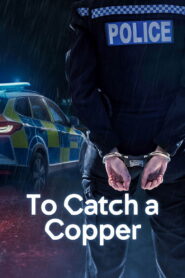 To Catch a Copper