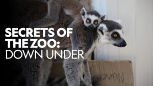 Secrets of the Zoo: Down Under