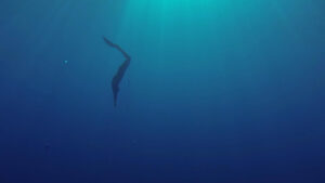My Life Without Air