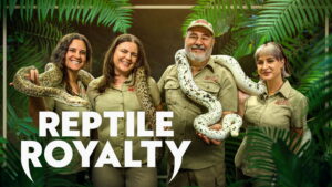 Reptile Royalty