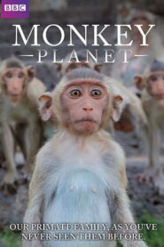 Monkey Planet