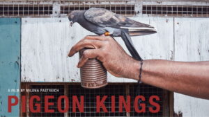 Pigeon Kings