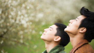 Anywhere Somewhere Nowhere