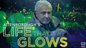 Attenborough’s Life That Glows