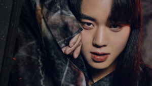 Love Song for Illusion