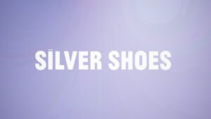Silver Shoes