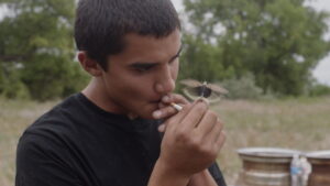 Songs My Brothers Taught Me