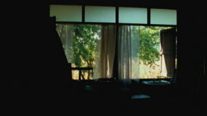 Uncle Boonmee Who Can Recall His Past Lives