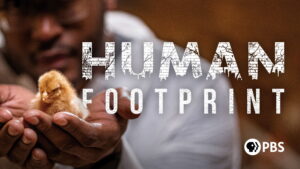 Human Footprint