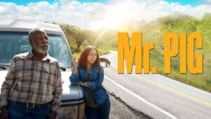 Mr. Pig