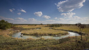 Into the Okavango