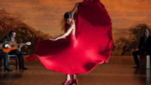 Flamenco Flamenco