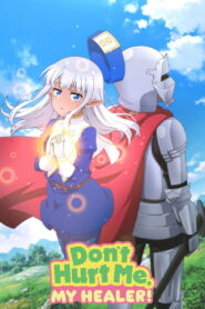 Don’t Hurt Me, My Healer!